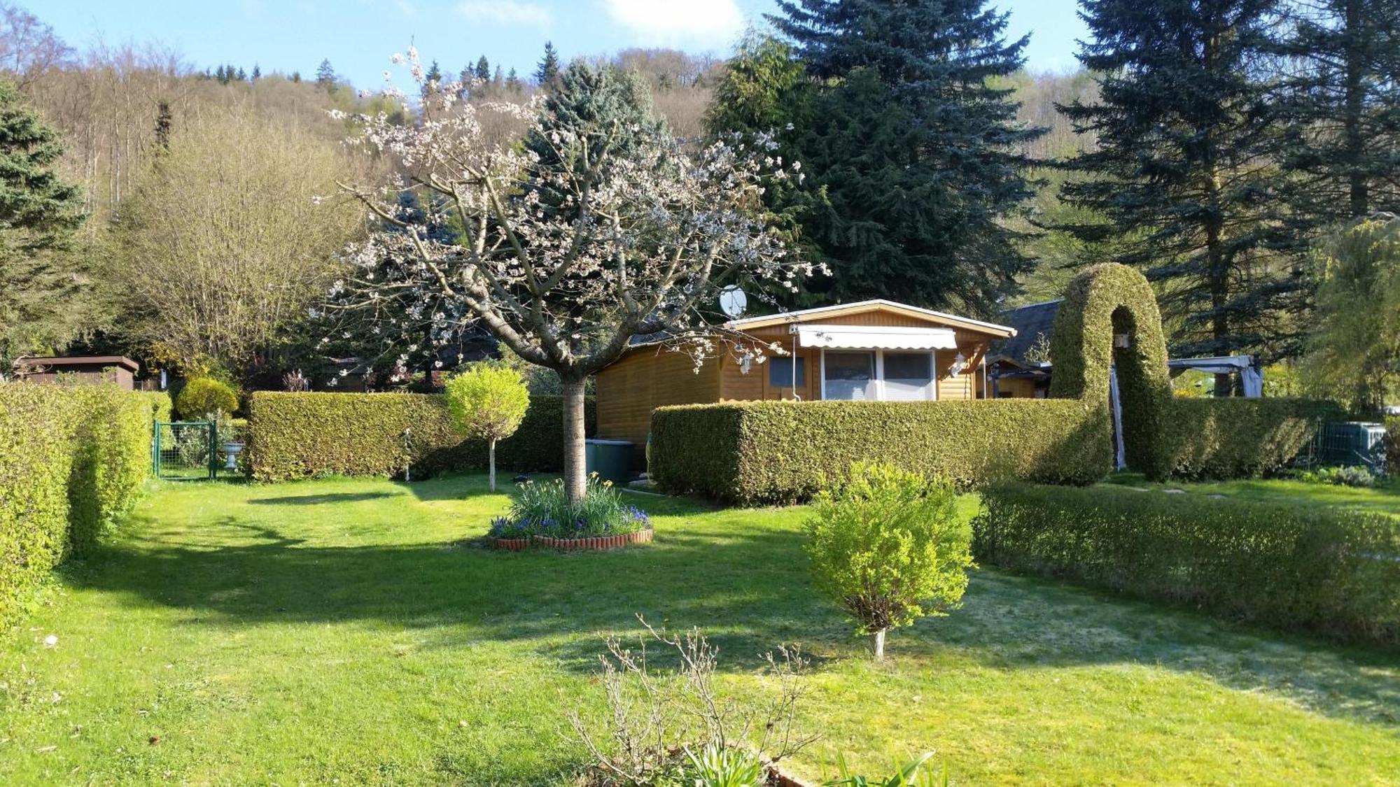 Poolhaus Im Suedharz Villa Harztor Exteriör bild